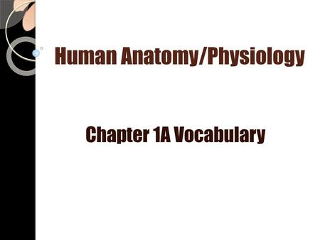 Human Anatomy/Physiology