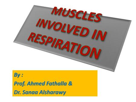 MUSCLES INVOLVED IN RESPIRATION