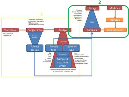 2 1 Assays Modules Features Study info Subject info Design Samples