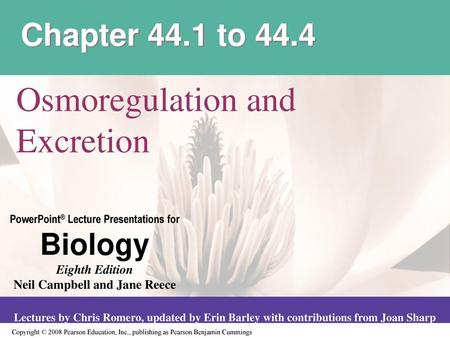 Osmoregulation and Excretion