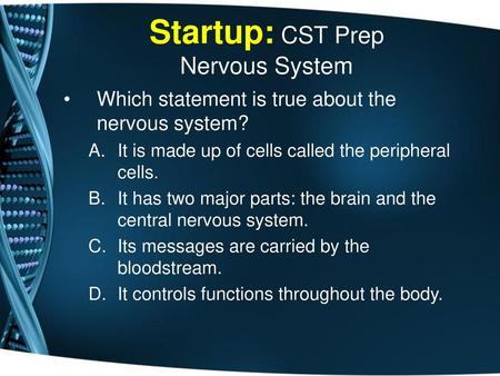 Startup: CST Prep Nervous System