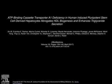 ATP-Binding Cassette Transporter A1 Deficiency in Human Induced Pluripotent Stem Cell-Derived Hepatocytes Abrogates HDL Biogenesis and Enhances Triglyceride.