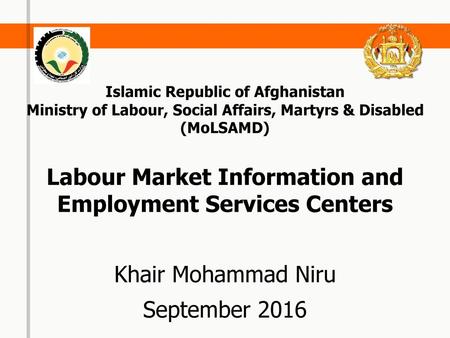 Labour Market Information and Employment Services Centers