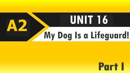 UNIT 16 A2 My Dog Is a Lifeguard! Part I.