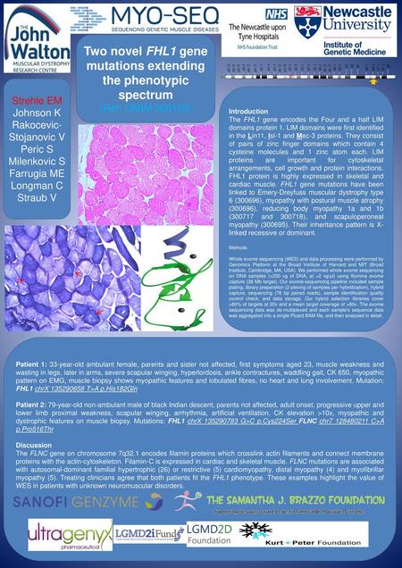 Two novel FHL1 gene mutations extending the phenotypic spectrum