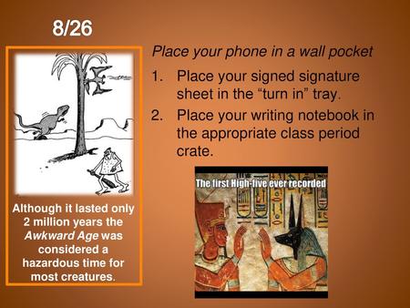 8/26 Place your phone in a wall pocket