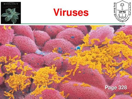 Viruses Page 328.