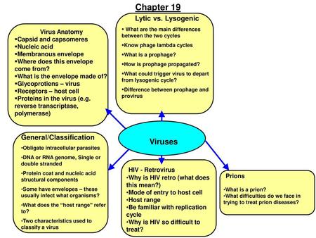 Chapter 19 Lytic vs. Lysogenic