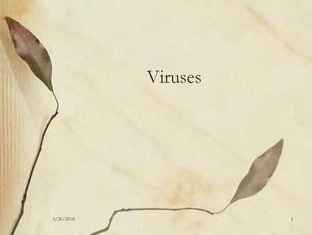 Viruses 5/26/2018.