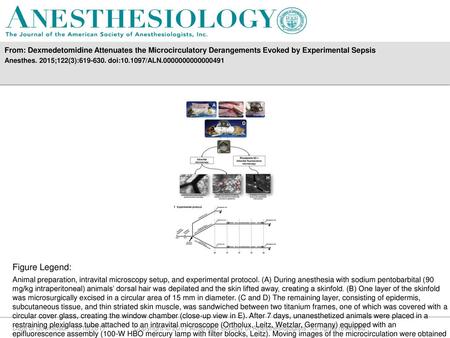 Anesthes. 2015;122(3): doi: /ALN Figure Legend: