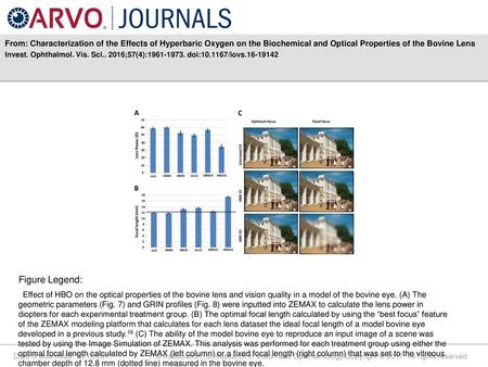 From: Characterization of the Effects of Hyperbaric Oxygen on the Biochemical and Optical Properties of the Bovine Lens Invest. Ophthalmol. Vis. Sci..