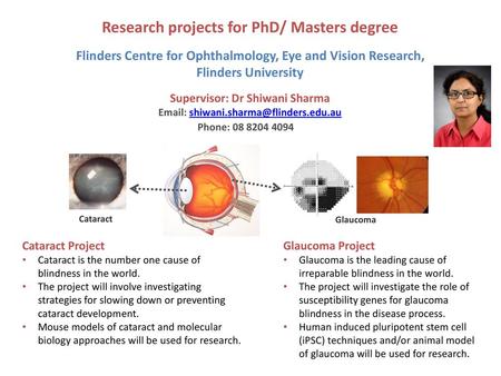 Research projects for PhD/ Masters degree