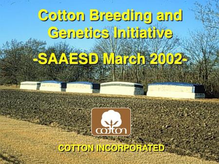 Cotton Breeding and Genetics Initiative