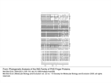 From: Phylogenetic Analysis of the ING Family of PHD Finger Proteins