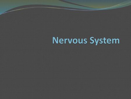 Nervous System.