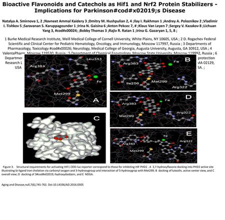 Bioactive Flavonoids and Catechols as Hif1 and Nrf2 Protein Stabilizers - Implications for Parkinson#cod#x02019;s Disease Natalya A. Smirnova 1, 2 ;Navneet.