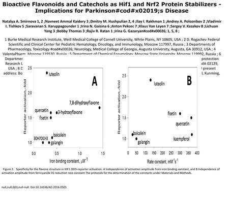 Bioactive Flavonoids and Catechols as Hif1 and Nrf2 Protein Stabilizers - Implications for Parkinson#cod#x02019;s Disease Natalya A. Smirnova 1, 2 ;Navneet.