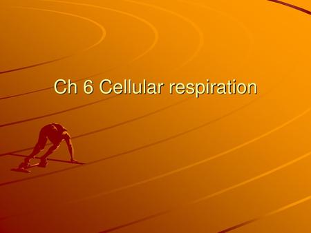 Ch 6 Cellular respiration