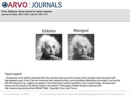 Figure Legend: From: Eidolons: Novel stimuli for vision research