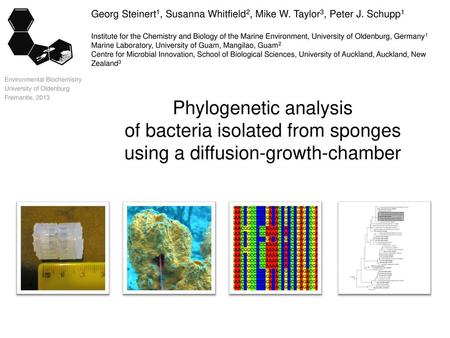 Environmental Biochemistry University of Oldenburg Fremantle, 2013