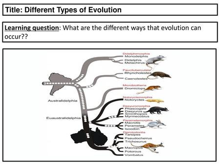 Title: Different Types of Evolution