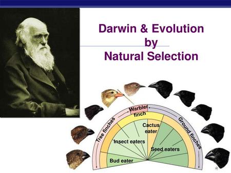 Darwin & Evolution by Natural Selection