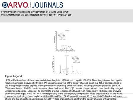 From: Phosphorylation and Glycosylation of Bovine Lens MP20