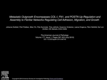 Metastatic Outgrowth Encompasses COL-I, FN1, and POSTN Up-Regulation and Assembly to Fibrillar Networks Regulating Cell Adhesion, Migration, and Growth 