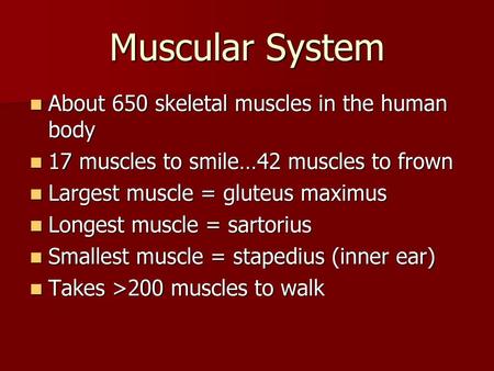 Muscular System About 650 skeletal muscles in the human body