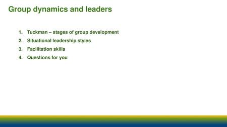 Group dynamics and leaders