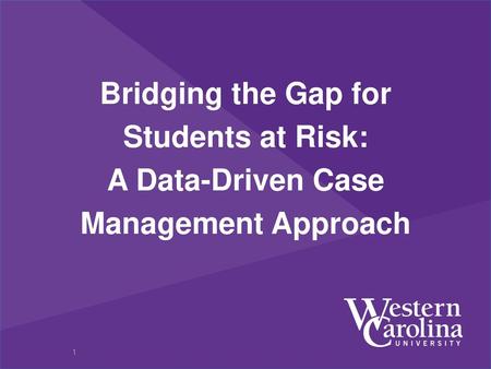 Bridging the Gap for Students at Risk: A Data-Driven Case