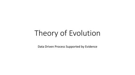 Data Driven Process Supported by Evidence