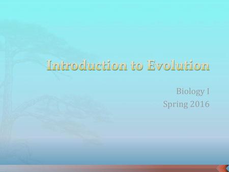 Introduction to Evolution