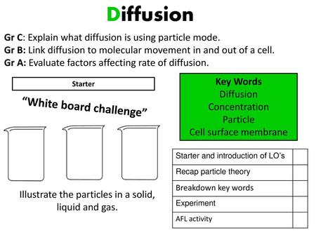 “White board challenge”