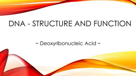 DNA - Structure and Function