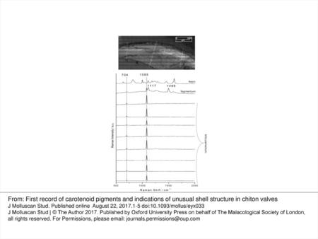 Figure 2. Raman bands from a representative line map across valve of Sypharochiton sinclairi. The lack of protein signals at 1110–1600 cm−1