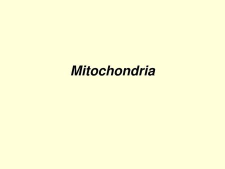 Mitochondria.