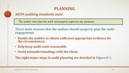 planning AICPA auditing standards state: