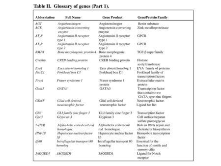 Table II. Glossary of genes (Part 1).