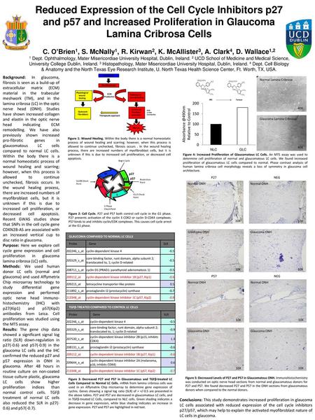 Reduced Expression of the Cell Cycle Inhibitors p27 and p57 and Increased Proliferation in Glaucoma Lamina Cribrosa Cells C. O’Brien1, S. McNally1, R.