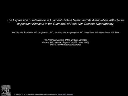 The Expression of Intermediate Filament Protein Nestin and Its Association With Cyclin- dependent Kinase 5 in the Glomeruli of Rats With Diabetic Nephropathy 