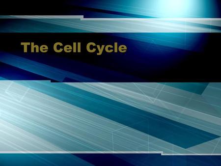 The Cell Cycle.