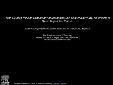 High Glucose-Induced Hypertrophy of Mesangial Cells Requires p27Kip1, an Inhibitor of Cyclin-Dependent Kinases  Gunter Wolf, Regine Schroeder, Gunther.