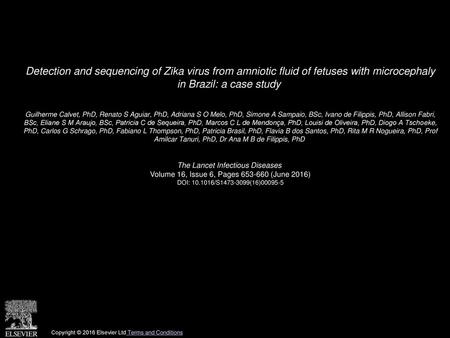 Detection and sequencing of Zika virus from amniotic fluid of fetuses with microcephaly in Brazil: a case study  Guilherme Calvet, PhD, Renato S Aguiar,
