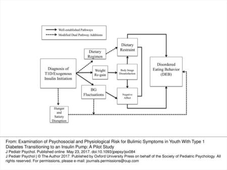 Figure 1. The Modified Dual Pathway Model.