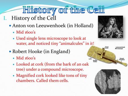 History of the Cell History of the Cell