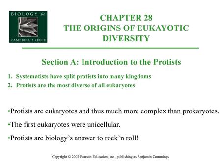 CHAPTER 28 THE ORIGINS OF EUKAYOTIC DIVERSITY