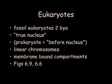 Eukaryotes fossil eukaryotes 2 bya “true nucleus”