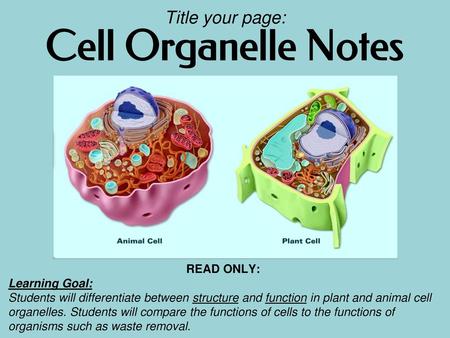 Cell Organelle Notes Title your page: READ ONLY: Learning Goal: