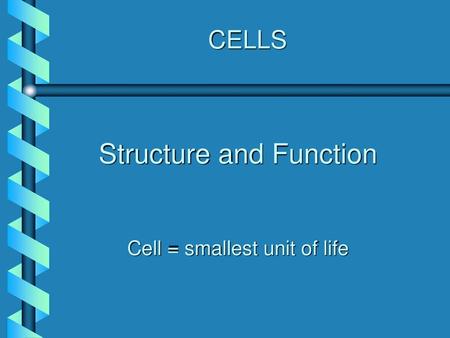 Structure and Function